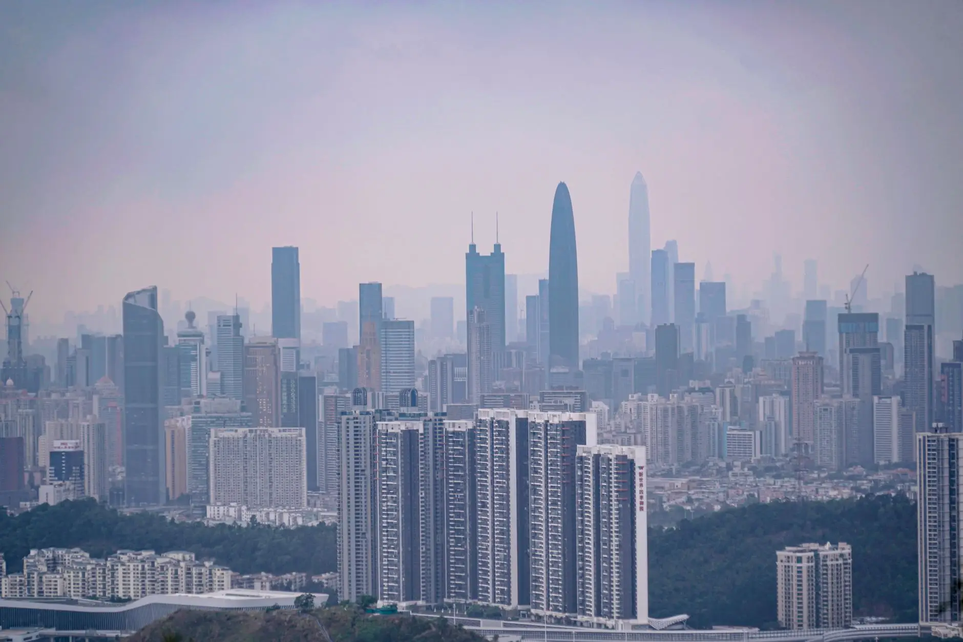 河南农业科技企业解读：有机种植技术如何提升农产品品质与市场竞争力