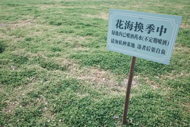 沃尔美农业科技产品型号参数对比：如何选择适合河南农户的有机种植方案
