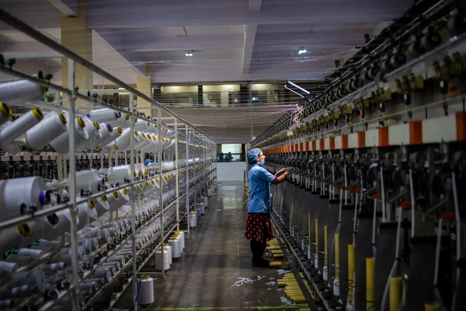 河南有机农业种植技术要点与品种改良方案解析