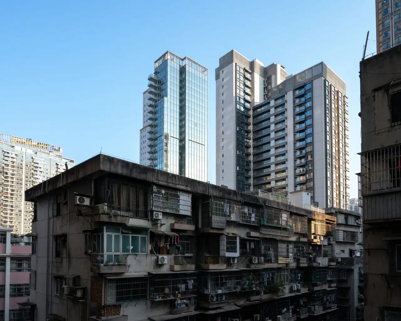 河南农业科技企业解读：有机种植技术如何提升农产品品质与市场竞争力