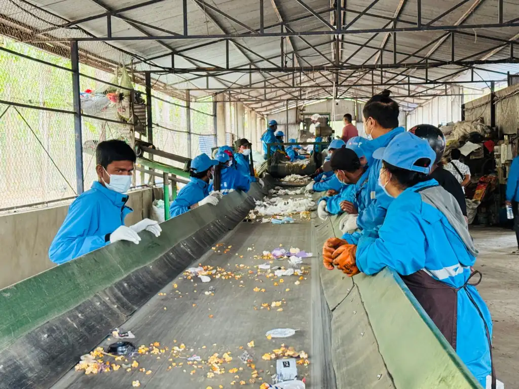 小麦品种改良方案对比：提升河南农业市场竞争力的关键技术