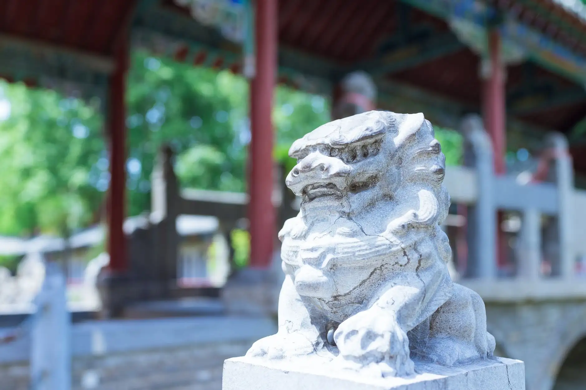 河南沃尔美农业科技有机种植技术方案与品种改良服务解析