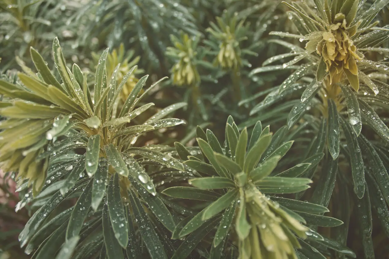 河南农业科技企业有机农产品种植技术优势及产品参数对比