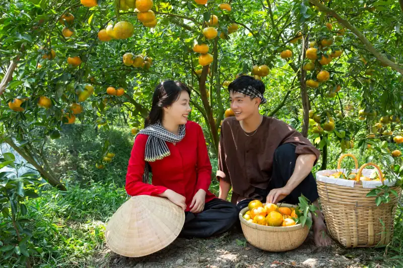 农业科技赋能：有机农产品种植质量控制全流程解析