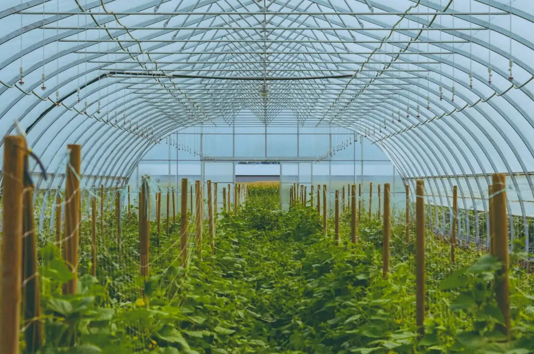 河南农业科技新趋势：有机种植技术如何助力农户提升农产品品质正文配图 2