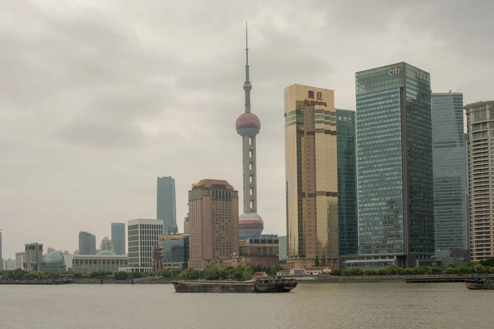 2025年河南有机农业种植技术新趋势与品种改良方向