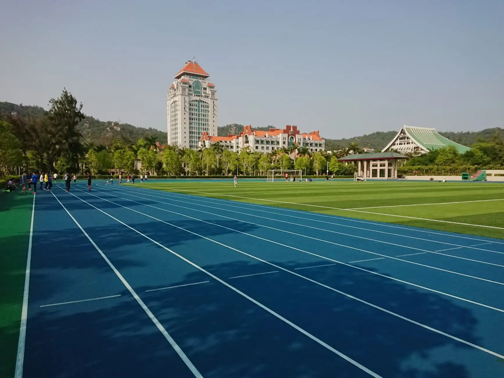 河南有机农业种植技术要点：土壤改良与病虫害生态防控实践